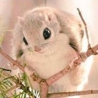 Onlyfans leaked cuntnugget 

 profile picture