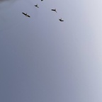 cyberpressure (cyberpressure) free OnlyFans Leaked Content 

 profile picture