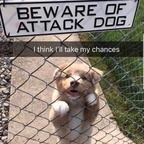 daddy22frost OnlyFans Leak 

 profile picture