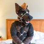 daddydober (Daddy Dober ฅ^•ﻌ•^ฅ) OF Leaked Pictures & Videos [!NEW!] profile picture