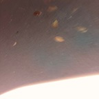 Download danibabyr OnlyFans leaks for free 

 profile picture