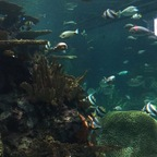 danield2388 (DanielD88) free OnlyFans content 

 profile picture