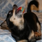 dannika (Sigh Vey) OnlyFans Leaks 

 profile picture