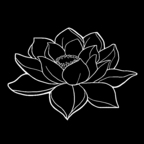 Download darklotusphoto OnlyFans videos and photos for free 

 profile picture