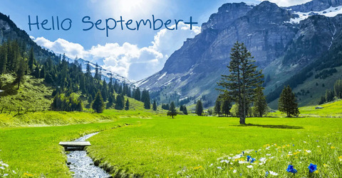 Header of dasksidephoto