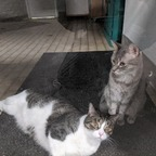 Onlyfans leaks davkdgreytheonly1 

 profile picture