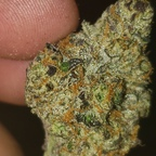 Download dboy1991 OnlyFans leaks for free 

 profile picture