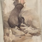 Onlyfans leak deerhorns 

 profile picture