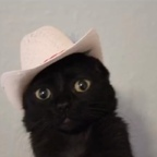 delilahdreams (Delilah) OnlyFans Leaked Pictures and Videos 

 profile picture