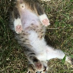 eu denii (@deniii) Leaked OnlyFans 

 profile picture