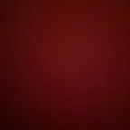 Onlyfans leaks denisek 

 profile picture