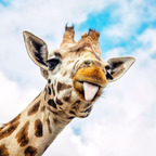 Onlyfans leaked derpcrew 

 profile picture