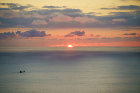 Header of diabolustnaia