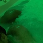 Onlyfans leaked dolllllll 

 profile picture