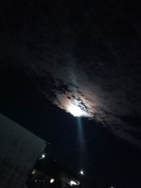 Header of elisangela