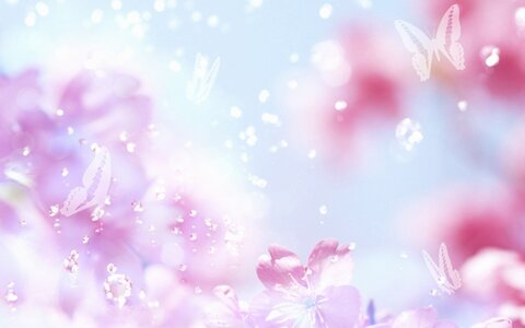 Header of elizaa3