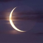 Onlyfans leaked ellalune 

 profile picture