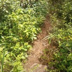 enana08 (Enana) OnlyFans Leaks 

 profile picture