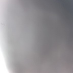 erharda (u27640424) OnlyFans content 

 profile picture