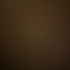 f0xxxybrown (FoxxxyBrown) free OnlyFans Leaked Videos and Pictures 

 profile picture