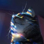 Free access to @fedra Leak OnlyFans 

 profile picture