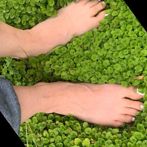 Header of feetnicer