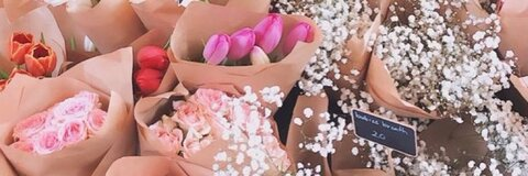 Header of fermornp21