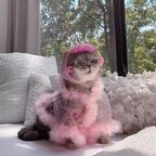 Free access to (fierynymph) Leak OnlyFans 

 profile picture