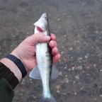 fishingman92 OnlyFans Leak 

 profile picture