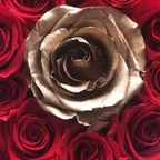 Download flyawayjay OnlyFans content for free 

 profile picture