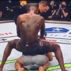 freestylebender profile picture