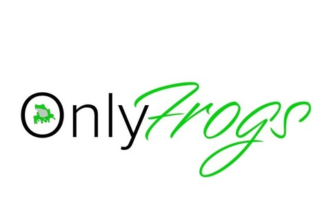 Header of froggy_style