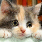 Download funfriendly OnlyFans leaks for free 

 profile picture