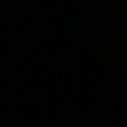 fxmousmimi OnlyFans Leaked 

 profile picture