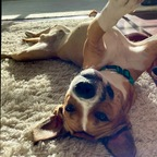 Free access to (@ganja_mistress) Leak OnlyFans 

 profile picture