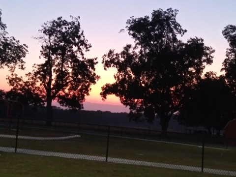 Header of gapeach1986