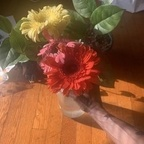 Nuri gardenofnuri Leaks OnlyFans 

 profile picture