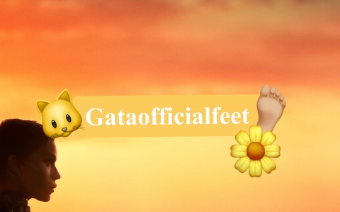 Header of gataofficialfeet