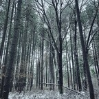 Onlyfans leaks gavinjt9 

 profile picture