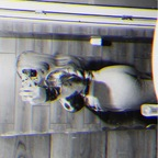 goodgirl199819292828181 OnlyFans Leaks 

 profile picture