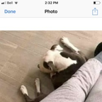 Download griffith OnlyFans leaks for free 

 profile picture