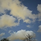 Download gurln3xtd00r OnlyFans leaks for free 

 profile picture