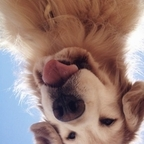 Onlyfans leaks harlow 

 profile picture