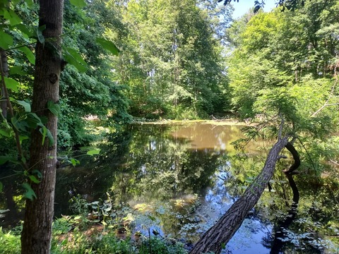 Header of heathermichele