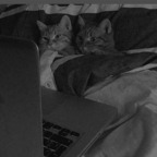 Onlyfans leak hellenax 

 profile picture