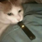 Onlyfans leak hopexforxnothingx 

 profile picture