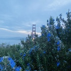 Babylatinaa (@hottielatinaa) Leak OnlyFans 

 profile picture