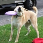 huldra (menino roxo) OnlyFans Leaked Videos and Pictures 

 profile picture