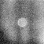 jackinjob OnlyFans Leak 

 profile picture