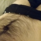 Download jamie2092 OnlyFans content for free 

 profile picture